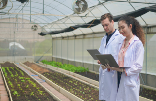 Farmers in agriculture farm